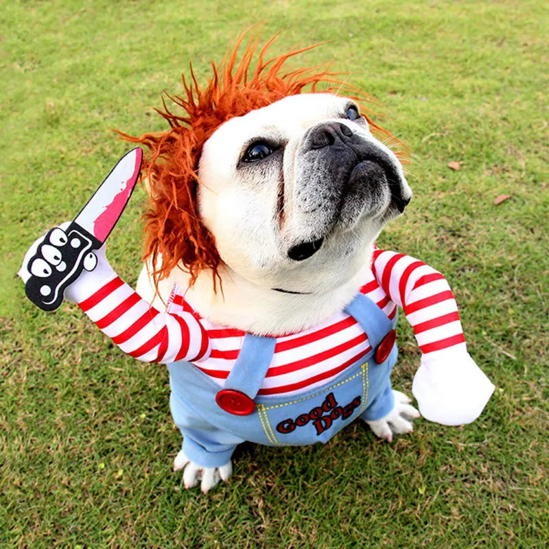 Disfraz De Halloween Para Mascota