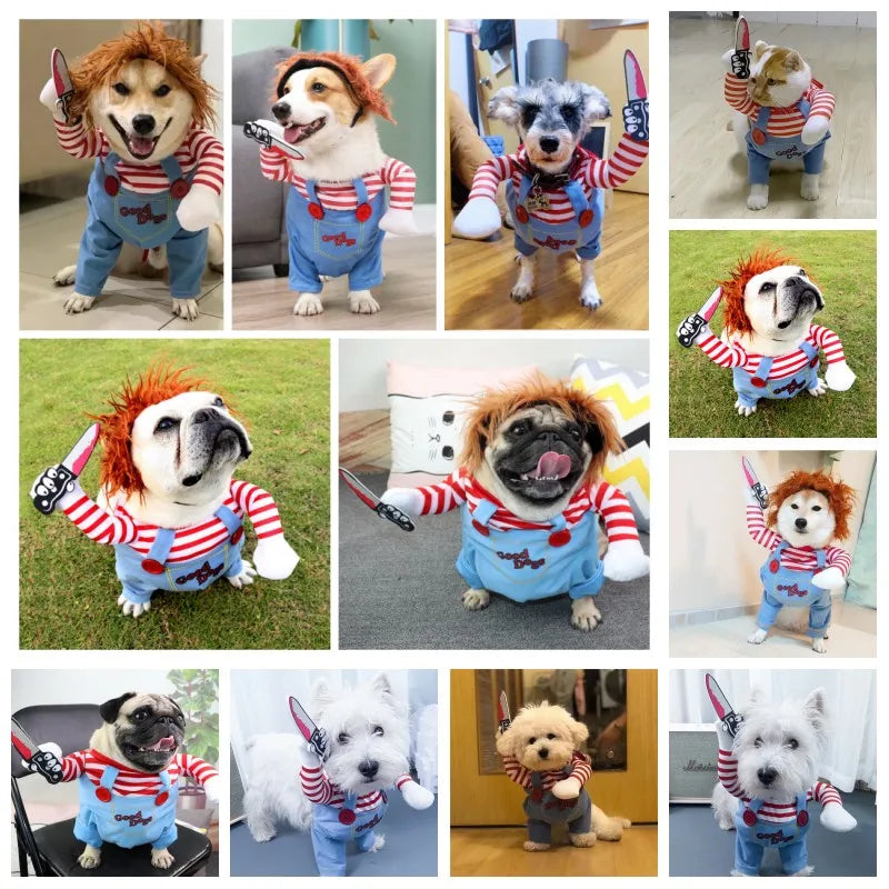 Disfraz De Halloween Para Mascota