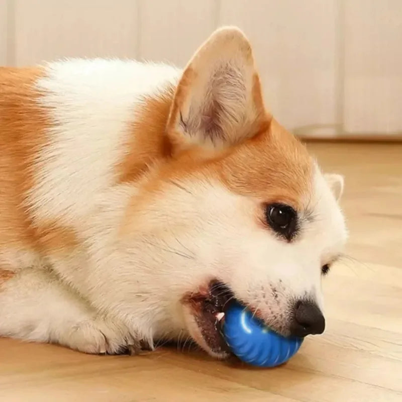 Pelota inteligente para perros
